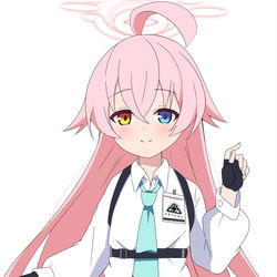 小鳥遊 ホシノ