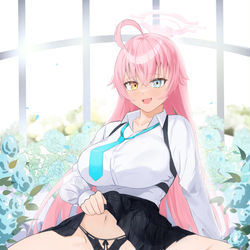 小鳥遊ホシノ