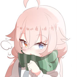 小鳥遊ホシノ