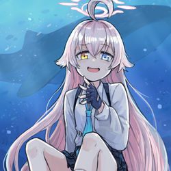 小鳥遊ホシノ