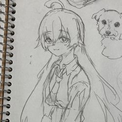 小鳥遊ホシノ