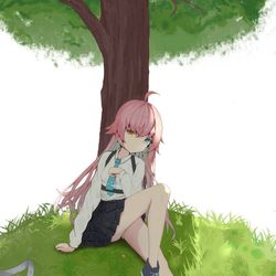 树荫下的ホシノ