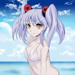 水着ホシノs