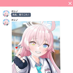 小鳥遊ホシノ