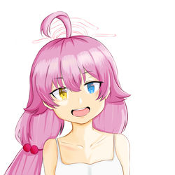 小鳥遊ホシノ