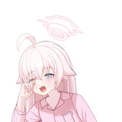 小鳥遊ホシノ