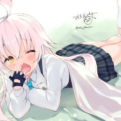 小鳥遊ホシノ