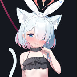 ニャロナちゃん