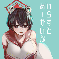 【C101新刊】いらすとあーかいぶ