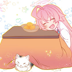 コタツミカンホシノ