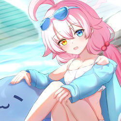 小鳥遊ホシノ