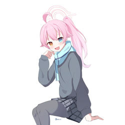 小鳥遊 ホシノ