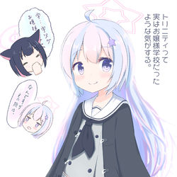 レイサ髪下ろし概念
