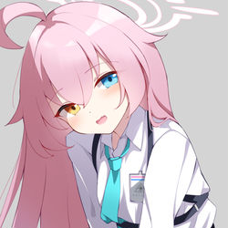 小鳥遊ホシノ