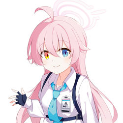 小鳥遊ホシノ