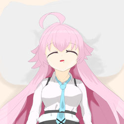 小鳥遊ホシノ　昼寝
