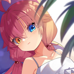 海辺のハロエリス