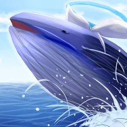 アロナガスクジラ🐳
