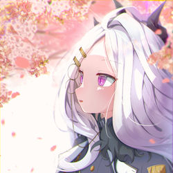 ヒナさくら