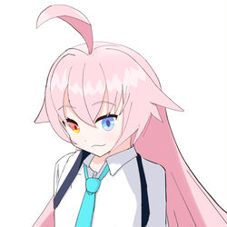 小鳥遊ホシノ