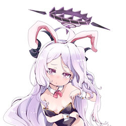 バニーヒナ