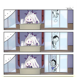 Window