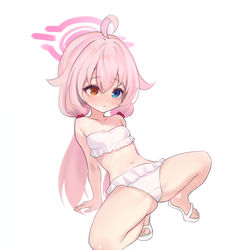 블루아카이브 호시노