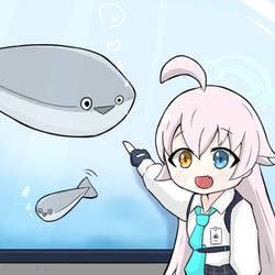 あれがクジラってやつなの？