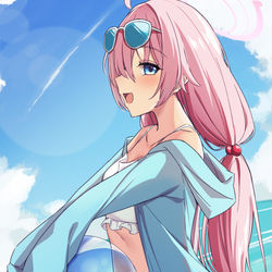 小鳥遊ホシノ