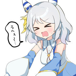 ヒシミラクルおじさん（ホシノ）