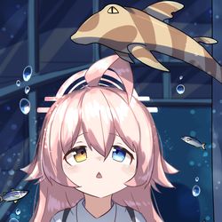 ねこざめを眺めるホシノ