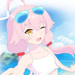 小鳥遊ホシノ