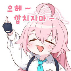小鳥遊ホシノ