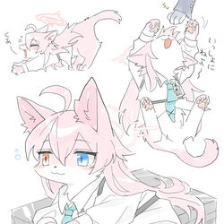 ホシノ猫