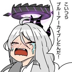 ヒナヒナのシナ