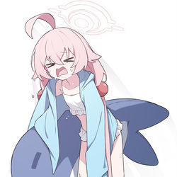 小鳥遊ホシノ