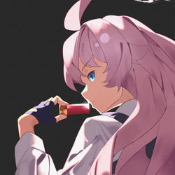 小鳥遊ホシノ