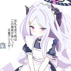 メイドヒナ