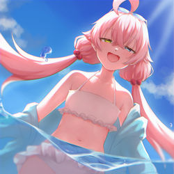 水着ホシノ