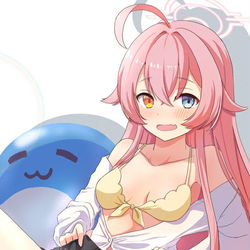 小鳥遊ホシノ