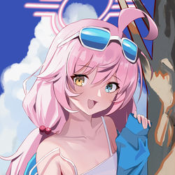 小鳥遊ホシノ