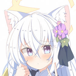 あずにゃん