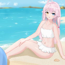 小鳥遊ホシノ