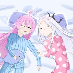 すやすやホシノヒナ