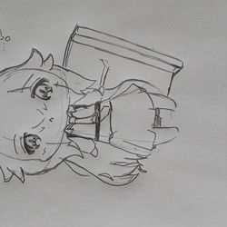 小鳥遊ホシノ