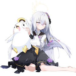梓