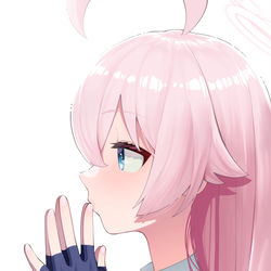 小鳥遊ホシノ