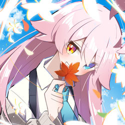 先生は紅葉の花言葉って知ってる？
