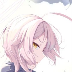 小鳥遊ホシノ(過去おじ)