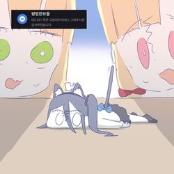 후원 리퀘5